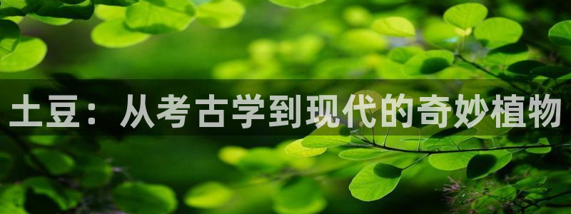我用闲书成圣人起点中文网