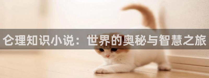 起点小说太贵了：仑理知识小说：世界的奥秘与智慧之旅