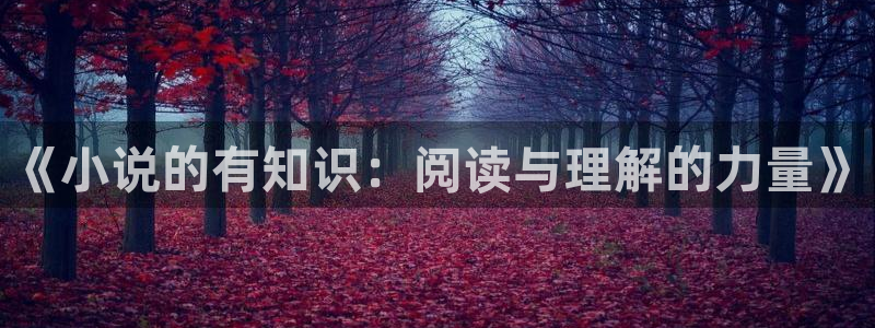 起点中文网小说：《小说的有知识：阅读与理解的力量》
