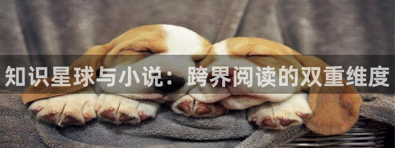 起点男生小说网：知识星球与小说：跨界阅读的双重维度