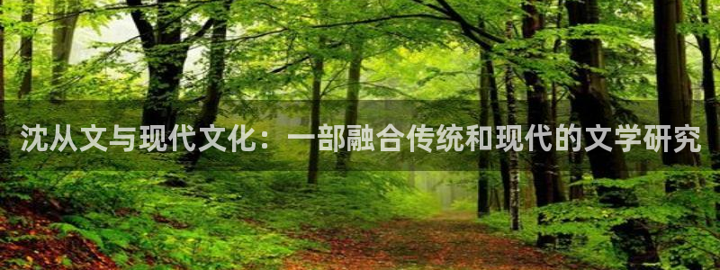 起点小说版本大全