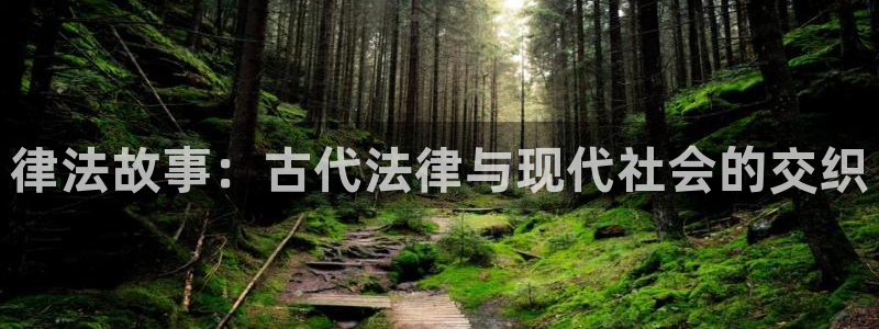 训诫起点男主们小说