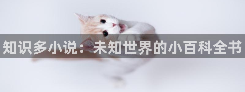 起点小说编辑