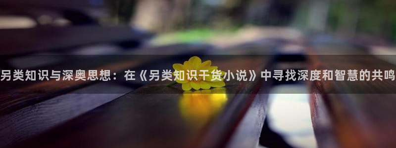 起点小说国际版