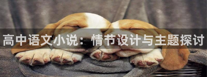 小说排行榜 起点