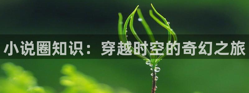 起点小说怎么全订阅