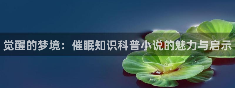 良陈美锦起点中文网