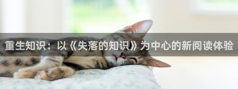 起点女强文推荐