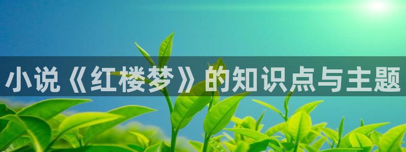 起点中文网官网在线小说