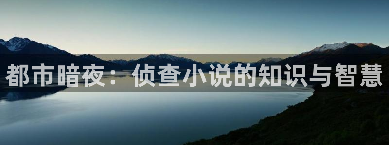 起点9分以上的小说
