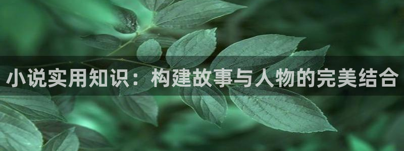 起点的小说能下载吗