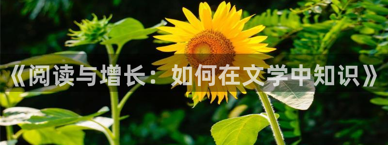 起点小说怎么
