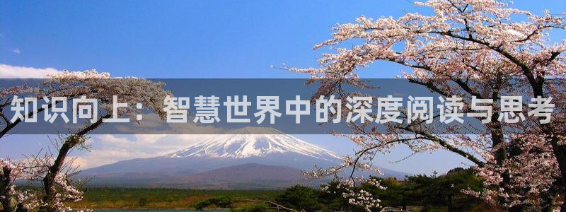 起点推荐小说